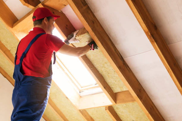 The Benefits of Attic Insulation in Valdosta, GA
